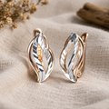 Elegant Earrings in Gold and Silver